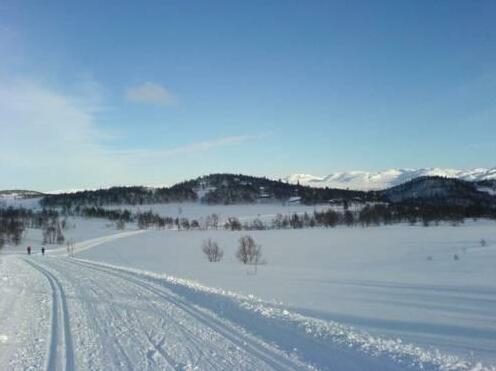 Djuvland Fjellgard - Photo2