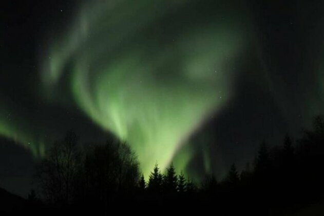 Cozy Cabin Tromso - Photo3