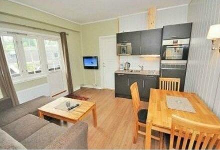 Trysil-Knut Hotel - Photo3