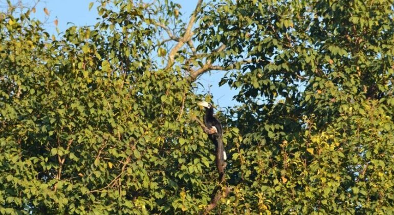 Nepal Wildlife Resort - Photo5