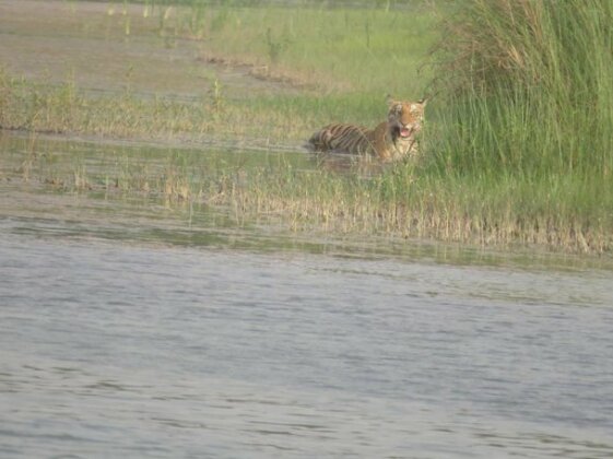 Prem Bardiya Homestay - Photo3