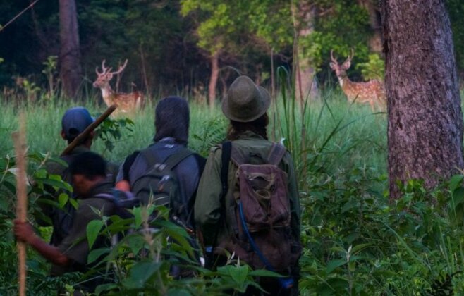 Wild Trak Adventure - Photo4