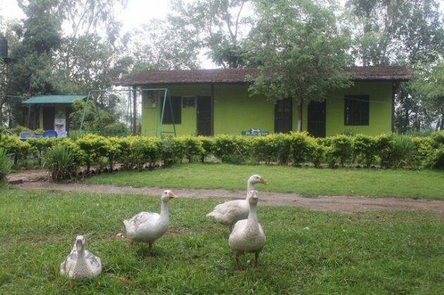 Suklaphanta Jungle Cottage - Photo5
