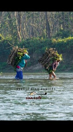 Chitwan Park Village - Photo2