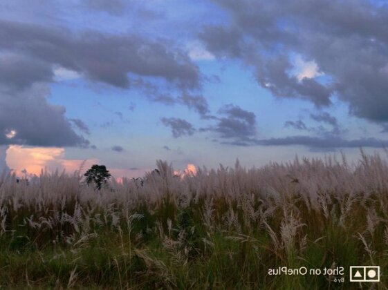 Chitwan Tiger Tops - Photo4