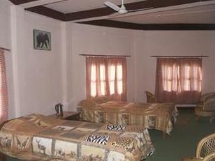 Eco Wildlife Lodge - Photo3