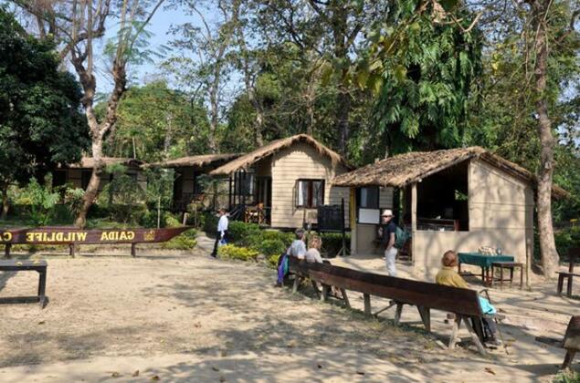 Gaida Wildlife Camp Lodge Chitwan - Photo5