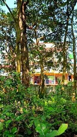 Hotel Rhinoceros-Homestay - Photo4