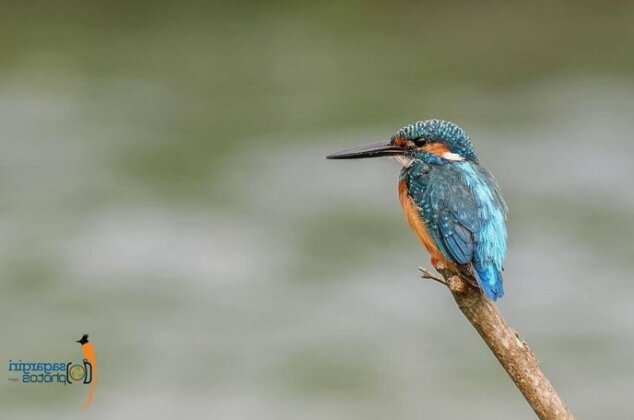 Hotel Sun Bird Sauraha - Photo5