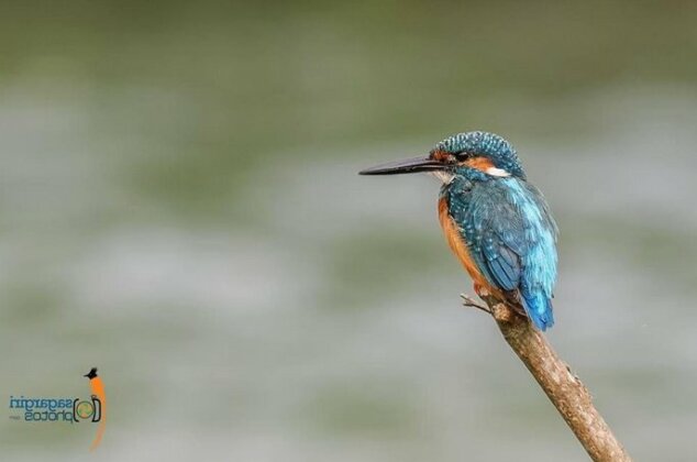 Hotel Sun Bird Sauraha - Photo5