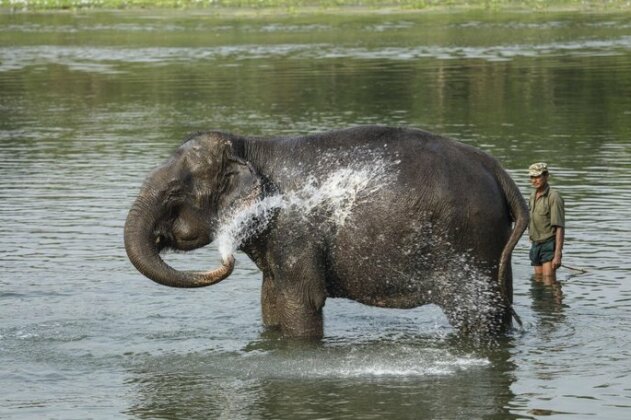 Kasara Resort Chitwan National Park - Photo2