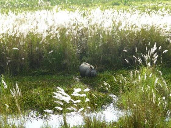 Kasara Resort Chitwan National Park - Photo5