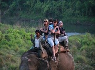 Rhino Land Jungle Lodge - Photo4