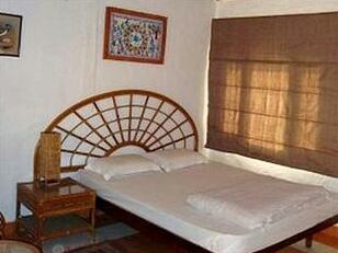 Safari Narayani Lodge Chitwan - Photo2