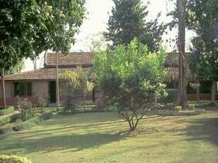 Safari Narayani Lodge Chitwan - Photo5
