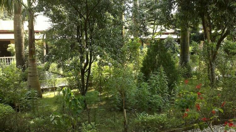 Sauraha Resort - Photo5