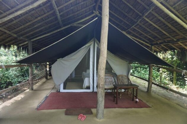 Tiger Tops Tharu Lodge - Photo2