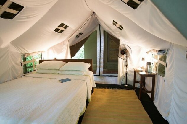 Tiger Tops Tharu Lodge - Photo3