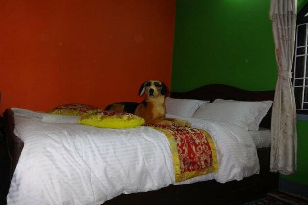 Blue Mountain Home Stay - Photo4