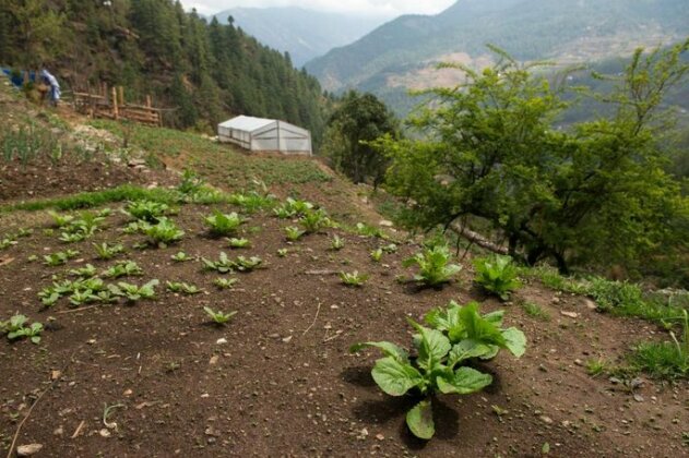 Midway Lukla - Photo3