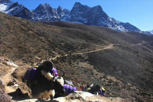Namgyal Lodge Machermo - Photo4