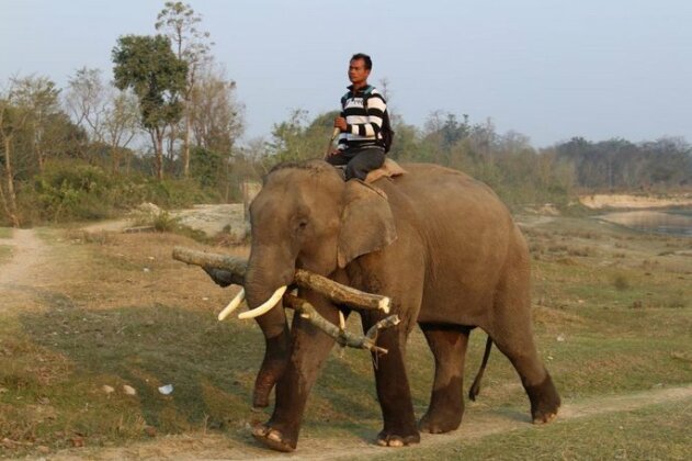 Anjali's Dolphins Resort - Photo3