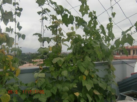 Homestay - Organic Vegetable Farm Experience - Photo3