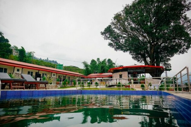 Alfanzoo Resort - Photo3
