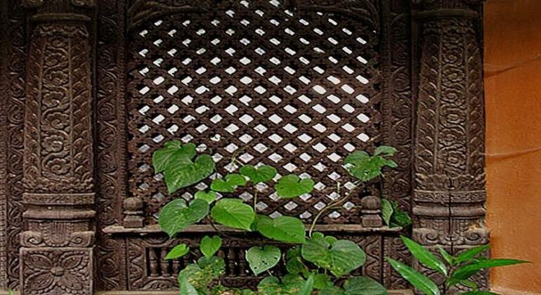 Anadu House - Photo4