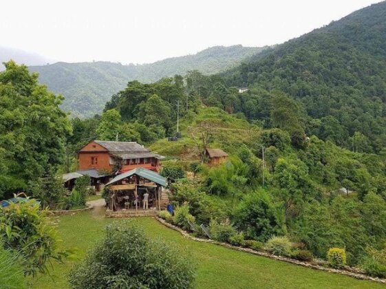 Back to Nature