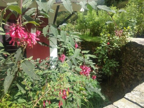 Fishtail Cottage Dhampus - Photo2