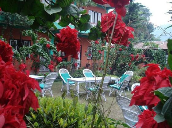 New Pokhara Lodge - Photo3