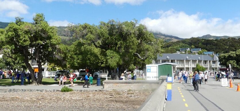 Akaroa Central Apartment - Photo5