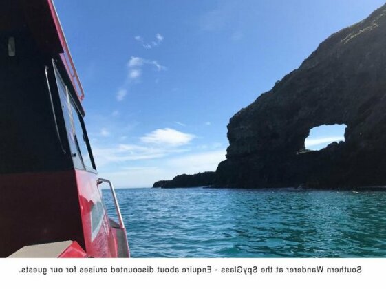 Akaroa Coastal Cottage - Photo3