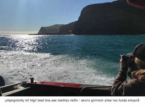 Akaroa Coastal Studio - Photo5