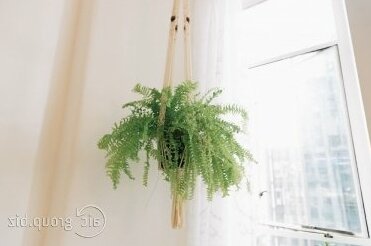 Bohemian City Apartment - Photo3