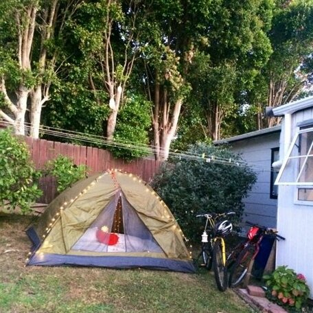 Homestay in Auckland near Kauri Park