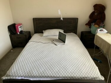 Homestay - Single Room Available Auckland