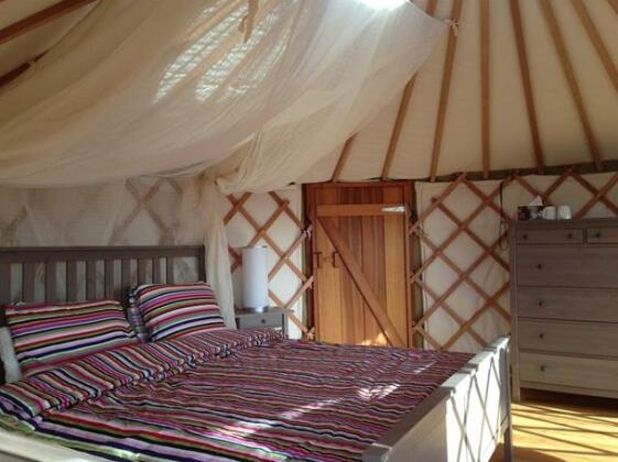 Simply B Yurts - Photo3