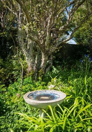 The Courtyard Auckland - Photo4