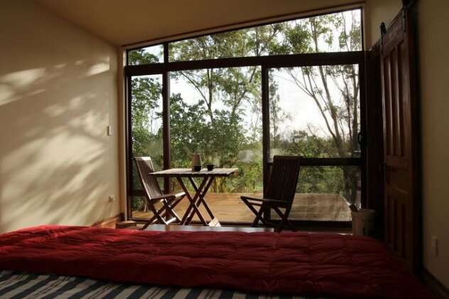 Driftwood Retreat and Alpaca Homestay - Photo5