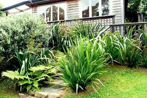 Driving Creek Villas - Photo2