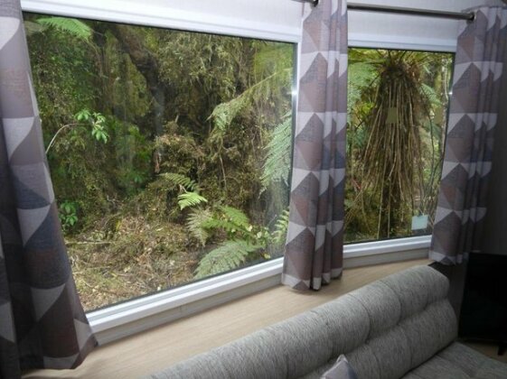 Forest View Franz Josef - Photo2