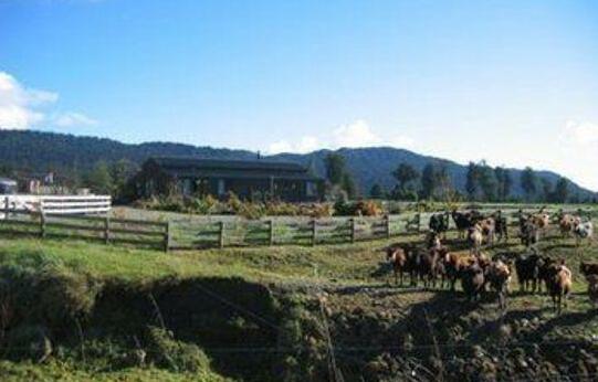 Franz Country House - Photo5