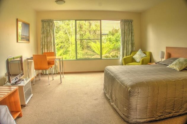 Punga Grove - Photo3