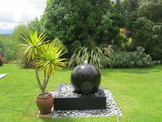 Casa Kiwi - Photo3