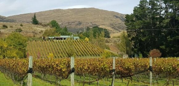 The Vines - Gibbston Valley Holiday Home