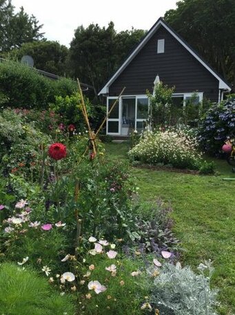 Hahei Kereru Cottage - Photo3