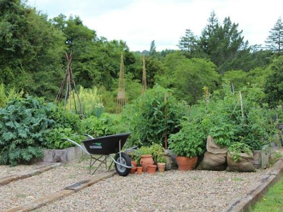 Darcy House Bed and Breakfast - Photo5