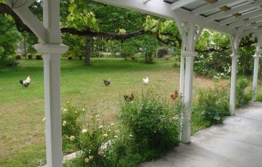 High Country Wilderness Retreat - Photo4